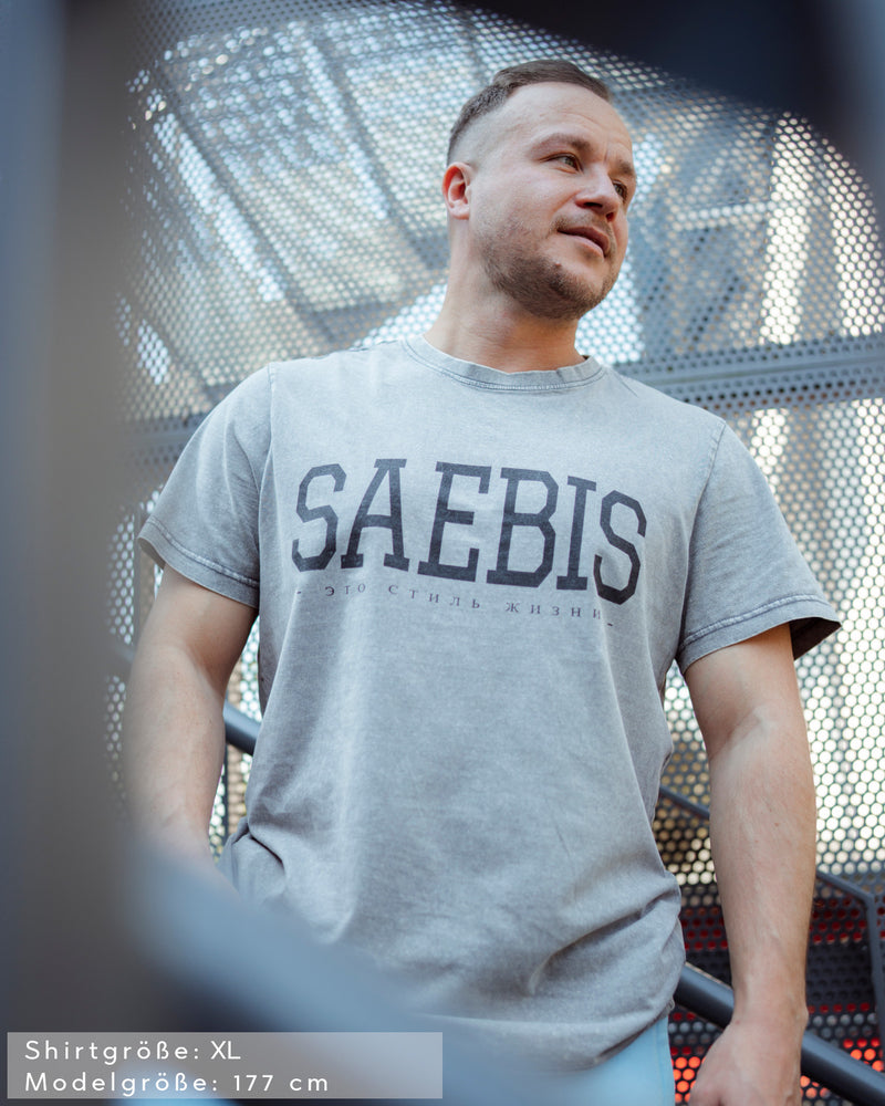 Lifestyle Herren T-Shirt washed grau by SAEBIS®