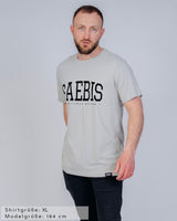 Lifestyle Herren T-Shirt asphaltgrau by SAEBIS®