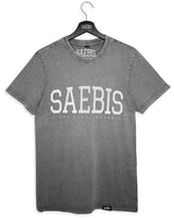 Lifestyle Herren T-Shirt washed grau/ weiß by SAEBIS®
