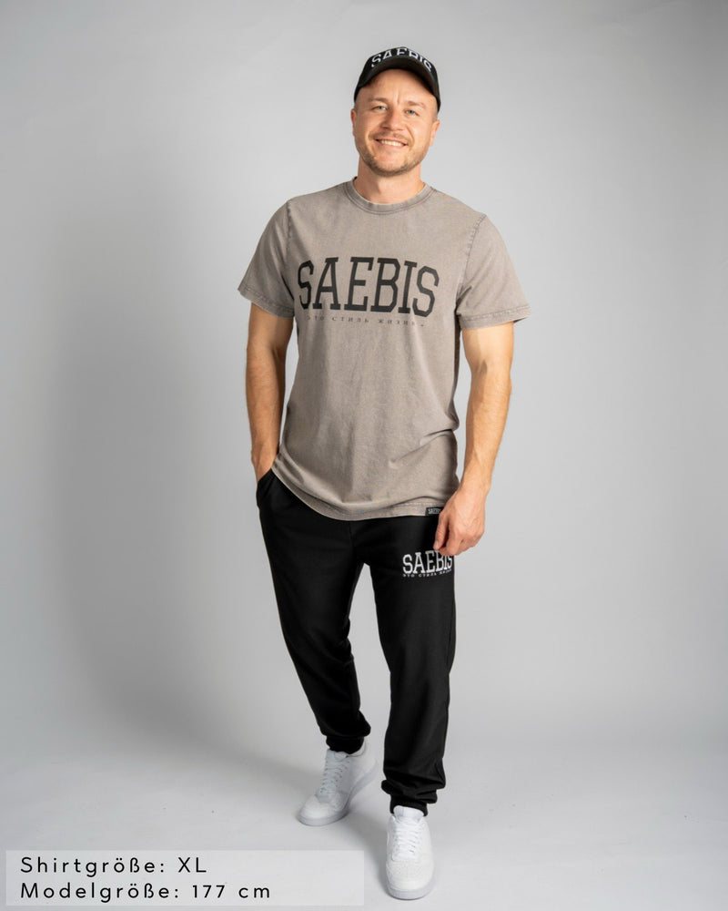 Lifestyle Herren T-Shirt washed grau by SAEBIS®