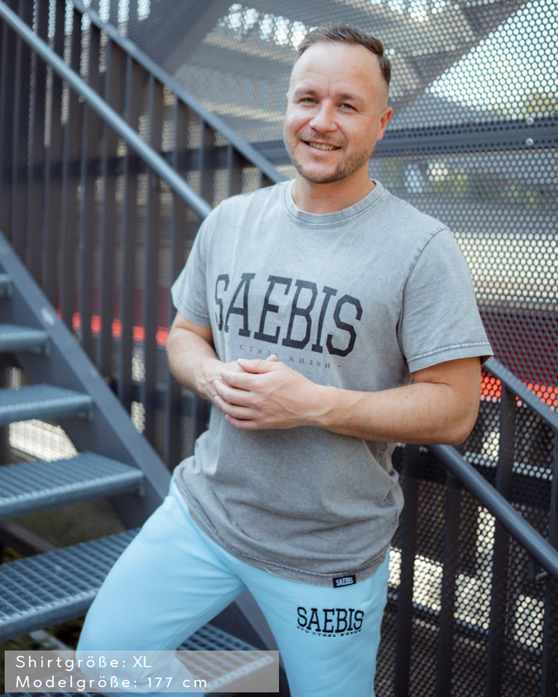 Lifestyle Herren T-Shirt washed grau by SAEBIS®