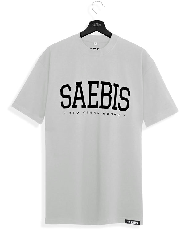 Lifestyle Herren T-Shirt asphaltgrau by SAEBIS®