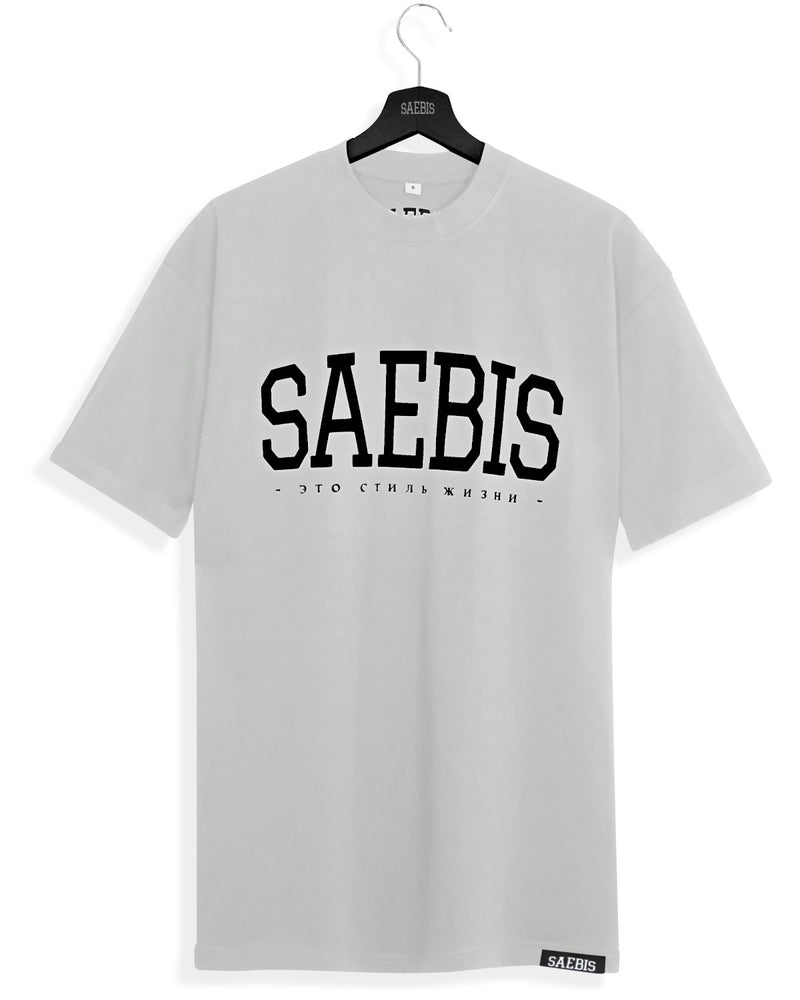 Lifestyle Herren T-Shirt asphaltgrau by SAEBIS®