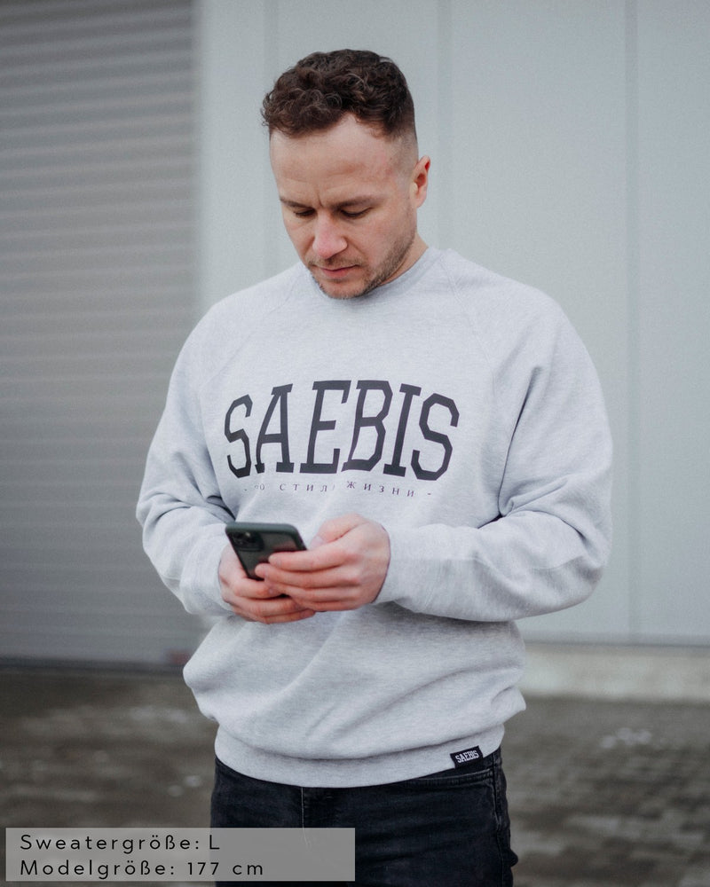 Lifestyle Herren Sweater grau by SAEBIS®